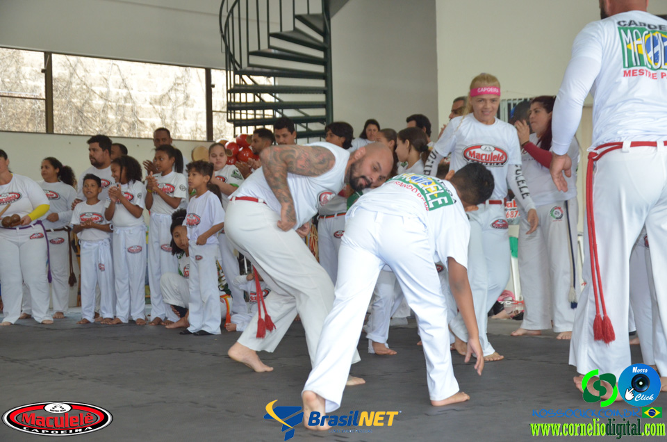 DSC_8768.jpg