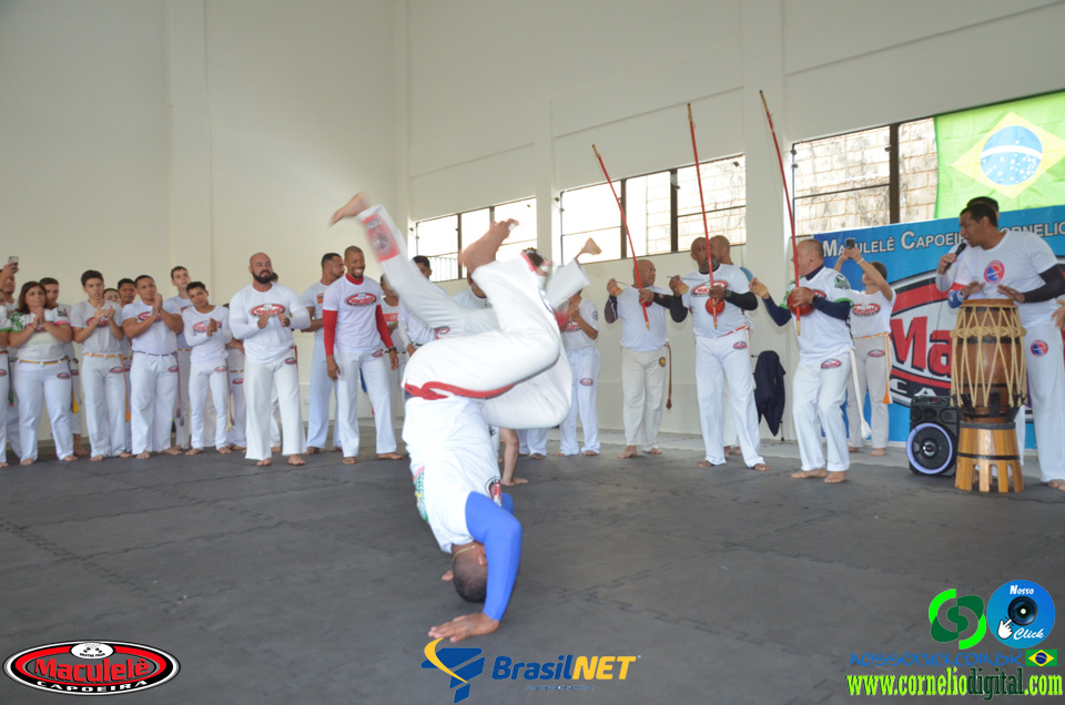 DSC_8876.jpg