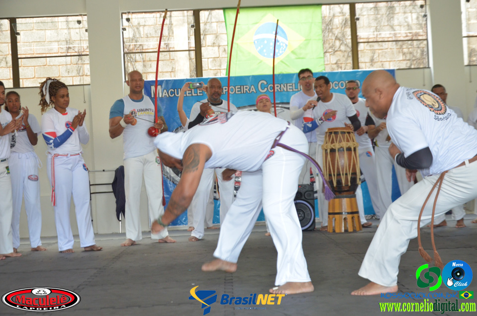 DSC_8996.jpg