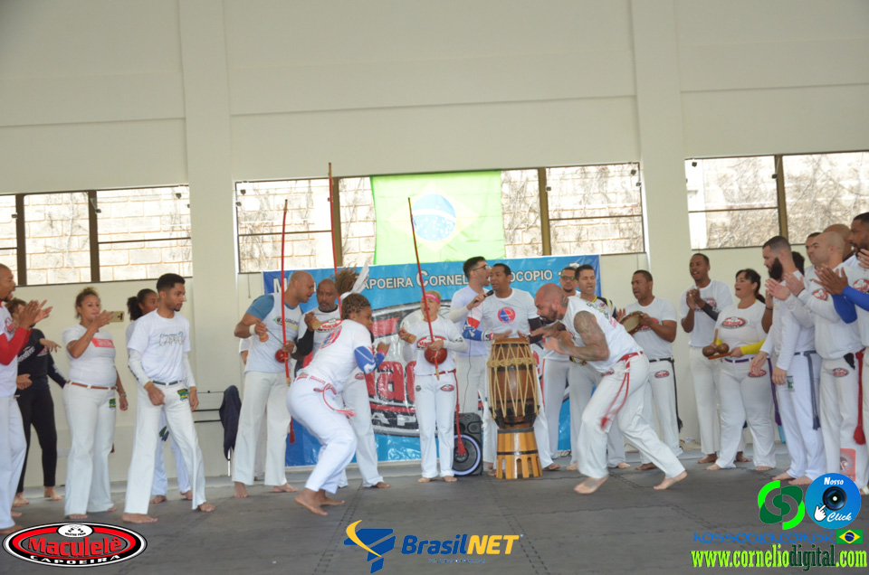 DSC_9051.jpg