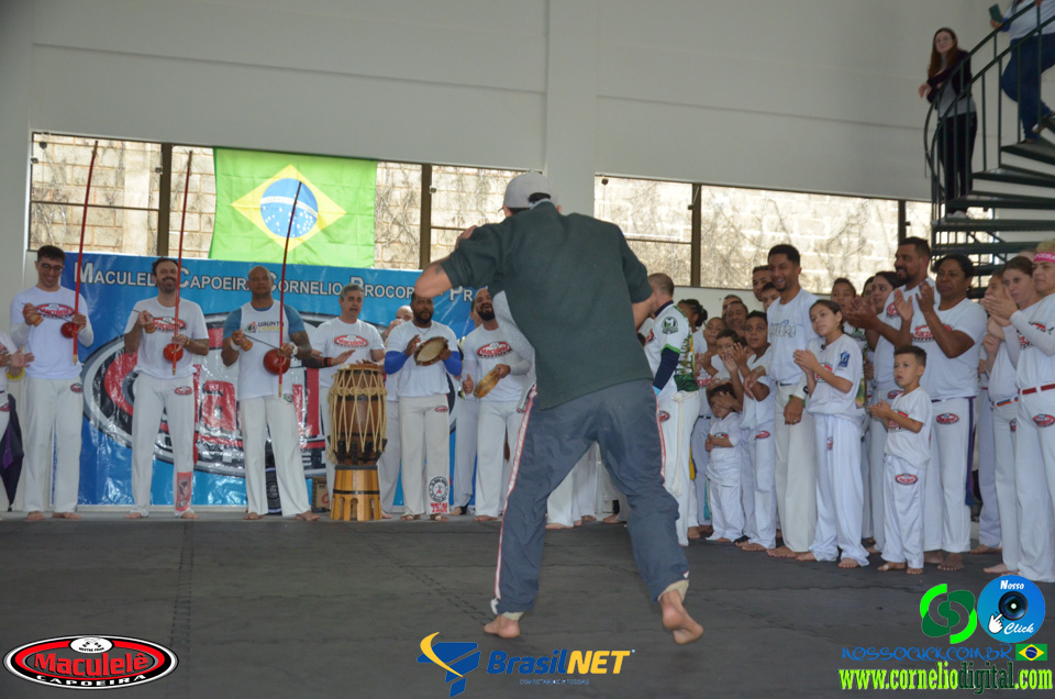 DSC_9826.jpg