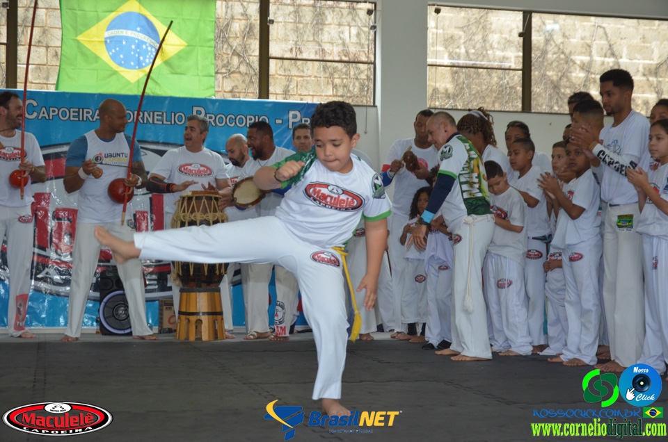 DSC_9846.jpg