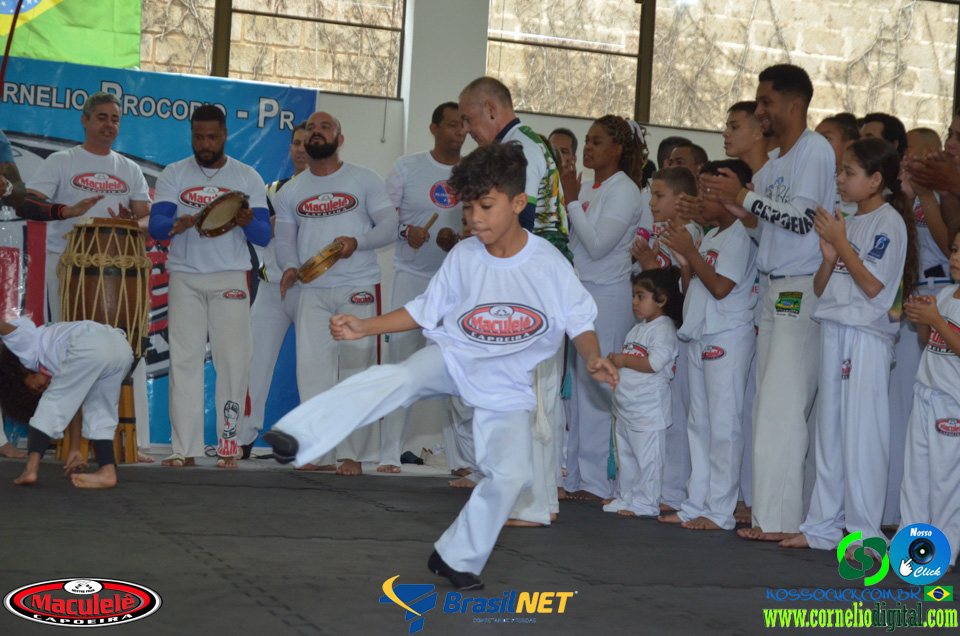 DSC_9855.jpg