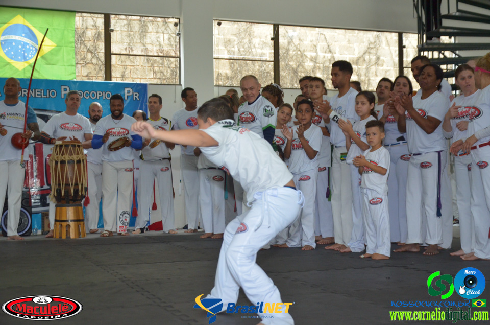 DSC_9865.jpg