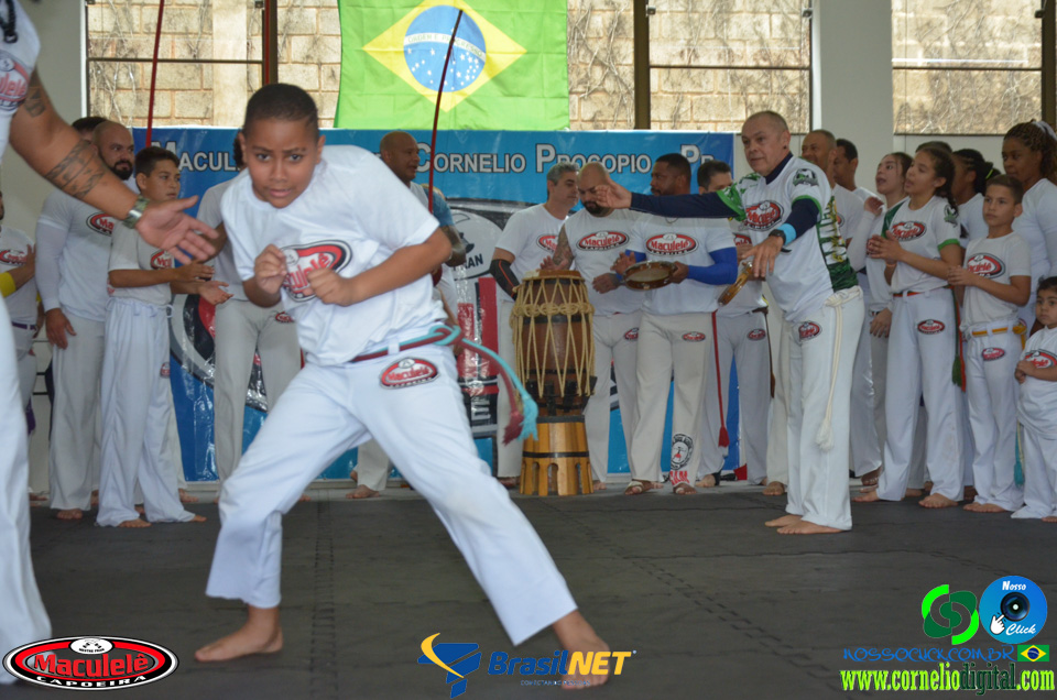 DSC_9877.jpg