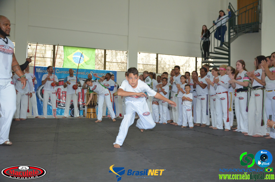 DSC_9880.jpg