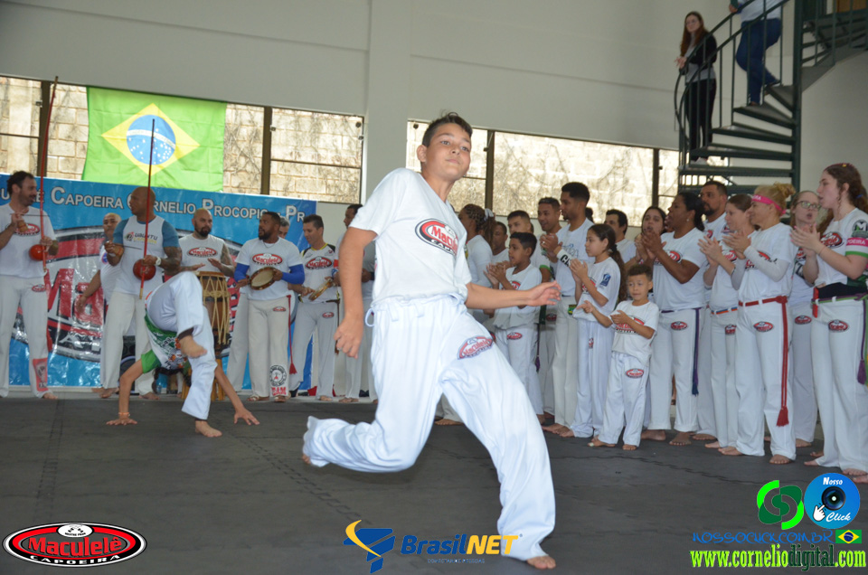 DSC_9883.jpg