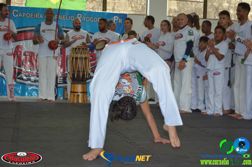 DSC_9888.jpg