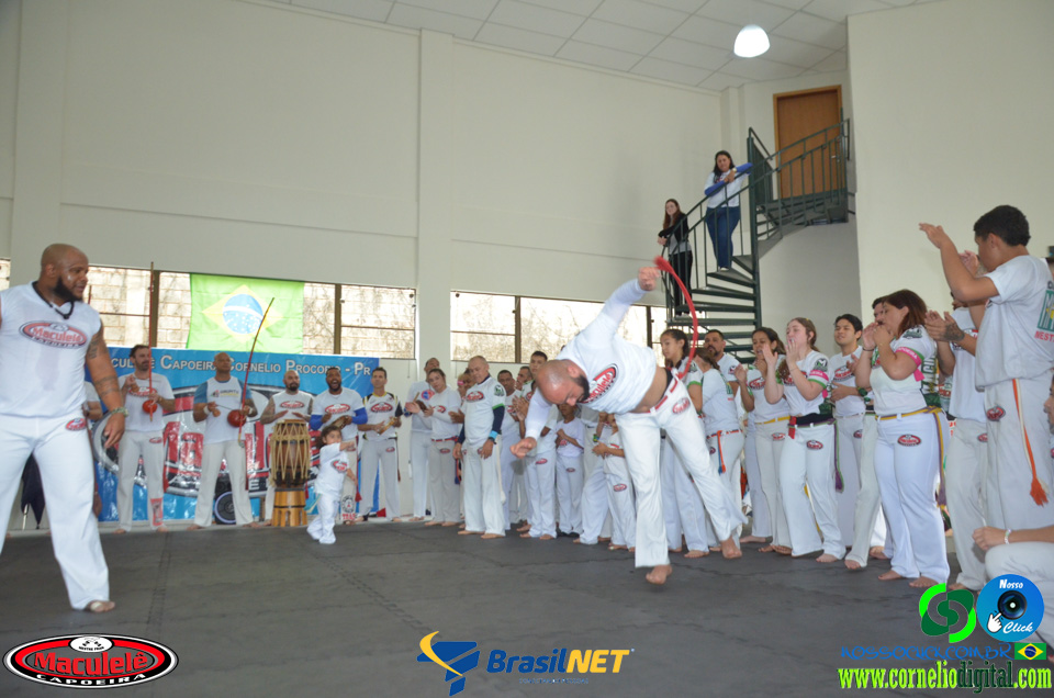 DSC_9909.jpg