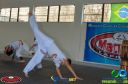 Filename=DSC_8372.jpg
Filesize=237KiB
Dimensions=960x636
Date added=Jul 19, 2023 DSC_8372.jpg