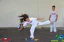 Filename=DSC_8452.jpg
Filesize=170KiB
Dimensions=960x636
Date added=Jul 19, 2023 DSC_8452.jpg