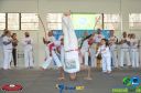 DSC_8739.jpg