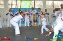DSC_8783.jpg