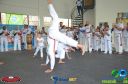 DSC_8784.jpg