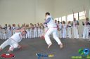 DSC_8884.jpg