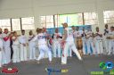 DSC_9045.jpg