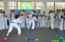 DSC_9141.jpg