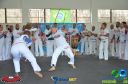DSC_9153.jpg