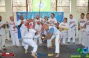 DSC_9393.jpg