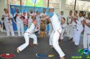 DSC_9429.jpg