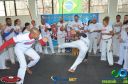 DSC_9449.jpg