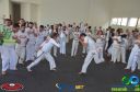 DSC_9521.jpg