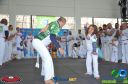 DSC_9744.jpg