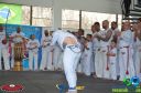 DSC_9762.jpg
