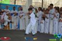 DSC_9854.jpg