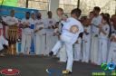 DSC_9856.jpg