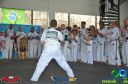 DSC_9866.jpg