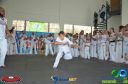 DSC_9880.jpg