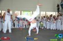 Filename=DSC_9915.jpg
Filesize=222KiB
Dimensions=960x636
Date added=Jul 20, 2023 DSC_9915.jpg