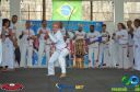 Filename=DSC_9920.jpg
Filesize=260KiB
Dimensions=960x636
Date added=Jul 20, 2023 DSC_9920.jpg