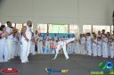 Filename=DSC_9921.jpg
Filesize=218KiB
Dimensions=960x636
Date added=Jul 20, 2023 DSC_9921.jpg
