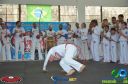 Filename=DSC_9924.jpg
Filesize=249KiB
Dimensions=960x636
Date added=Jul 20, 2023 DSC_9924.jpg