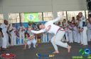 Filename=DSC_9942.jpg
Filesize=232KiB
Dimensions=960x636
Date added=Jul 20, 2023 DSC_9942.jpg