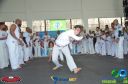 Filename=DSC_9943.jpg
Filesize=220KiB
Dimensions=960x636
Date added=Jul 20, 2023 DSC_9943.jpg