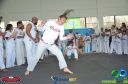 Filename=DSC_9944.jpg
Filesize=216KiB
Dimensions=960x636
Date added=Jul 20, 2023 DSC_9944.jpg