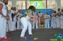 Filename=DSC_9946.jpg
Filesize=246KiB
Dimensions=960x636
Date added=Jul 20, 2023 DSC_9946.jpg