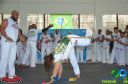 Filename=DSC_9950.jpg
Filesize=230KiB
Dimensions=960x636
Date added=Jul 20, 2023 DSC_9950.jpg