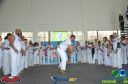 Filename=DSC_9953.jpg
Filesize=215KiB
Dimensions=960x636
Date added=Jul 20, 2023 DSC_9953.jpg