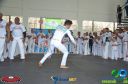 DSC_9980.jpg