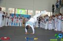 DSC_9981.jpg
