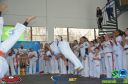 DSC_9993.jpg