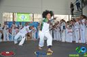DSC_9994.jpg