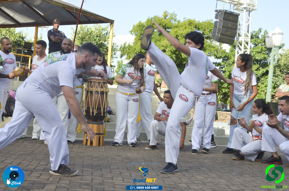 DSC_7453.jpg