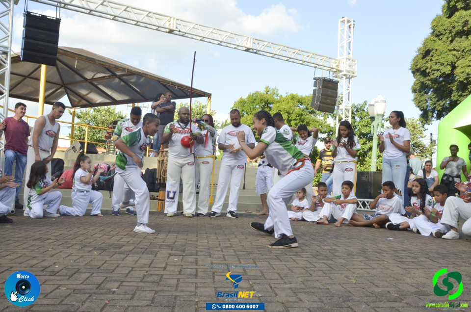 DSC_7521.jpg