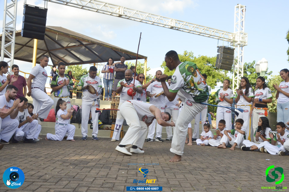 DSC_7535.jpg