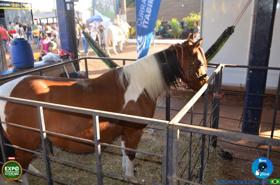 EDSC_0075.jpg